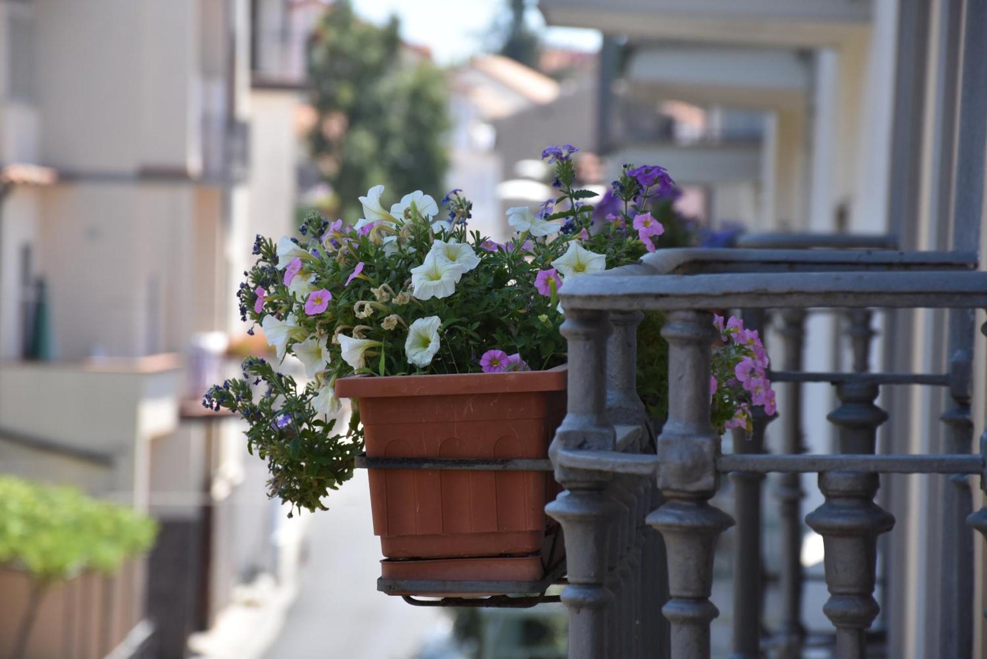 Hotel Risorgimento Agerola Exterior photo